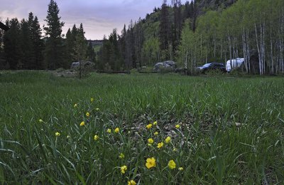 Colorado camp