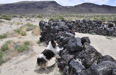 Pony Express Station