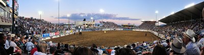 Reno rodeo pano small.jpg