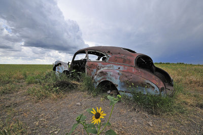 Buffalo Gap National Grasslands