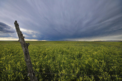 Buffalo Gap National Grasslands