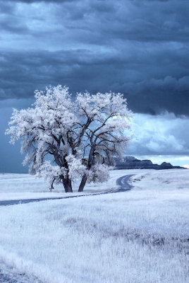 Infrared south of Badlands NP