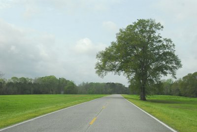 g1/95/973095/3/131214481.XUhSljGD.jpg