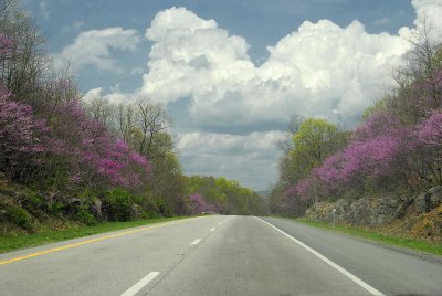 Southeastern Exploration with Casita, 2008