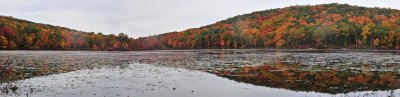 NJ pano 2.jpg