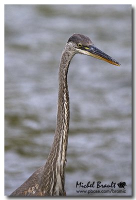 IMG_6561.jpg