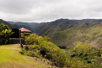 DSC_1662.jpg