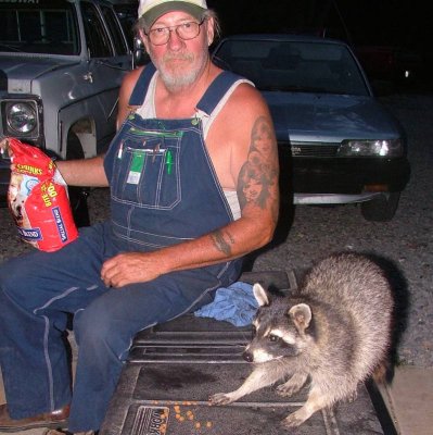 race shop raccoon