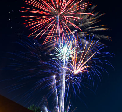Fireworks-4July2010_DSC0098.jpg