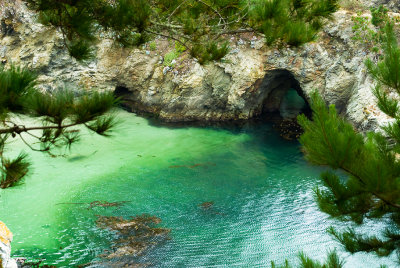 Cove_2010-08-19_0507.jpg