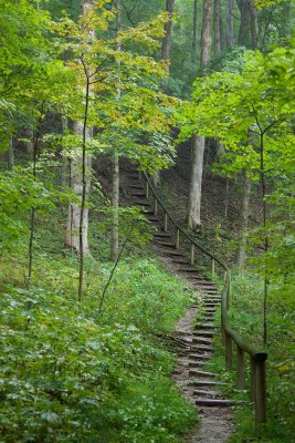 Uphill Trail