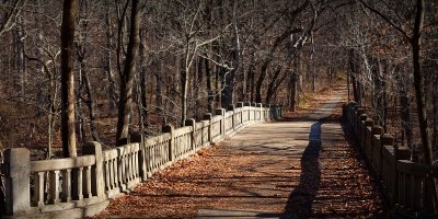 Lake Bridge, November