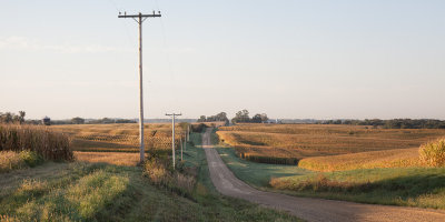 Grimm Road Corn Fields 