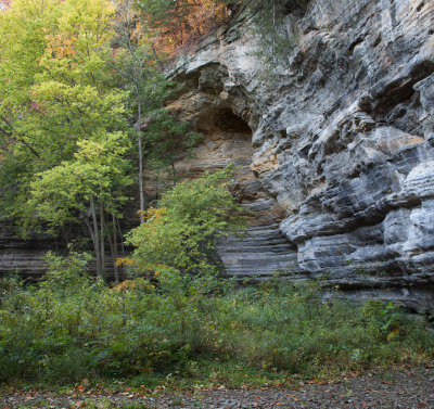 Canyon Alcove, Autumn 