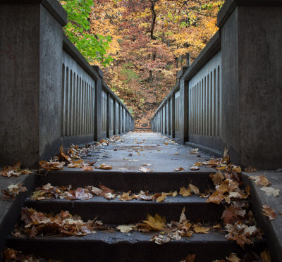Footbridge in Autumn