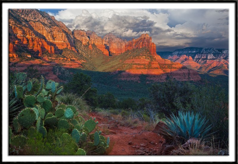 Sedonas Red Rock-Secret Mountain Wilderness