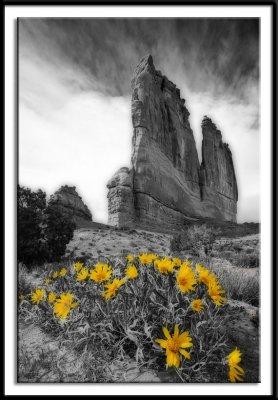 The Organ - Arches NP, UT