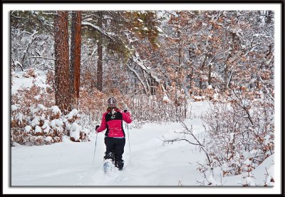 Snowshoeing in the San Juan National Forest