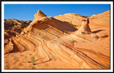 Slickrock at Water Holes Canyon