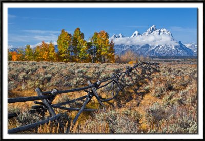 Buck and Pole Fence and the Tetons