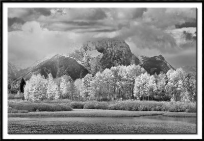 Autumn Snowstorm Clearing Over Mt. Moran