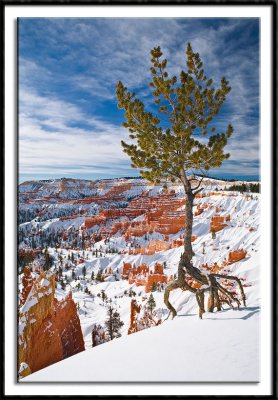 Bryce Canyon and Capitol Reef National Parks - Winter '08