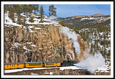 Blowdown on the Highline Section