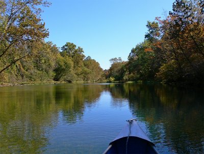 The river.jpg