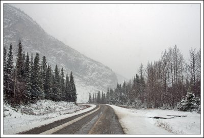 Along The Way...