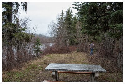 Virg, Looking For Bear...