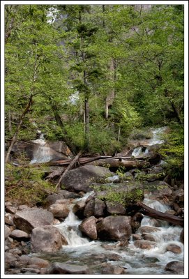 Shannon Falls-03.jpg