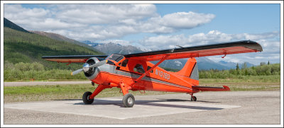 Beaver at Coldfoot.jpg