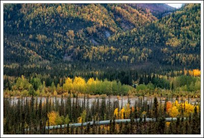 Overlooking Wiseman, Ak...