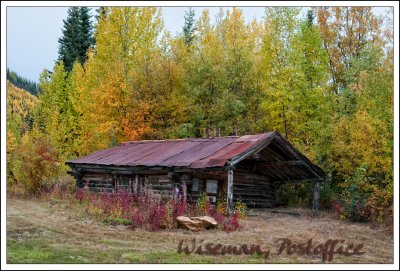 Wiseman-04.jpg