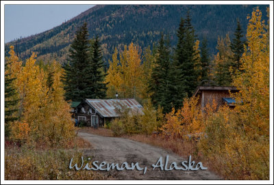 Wiseman-06.jpg