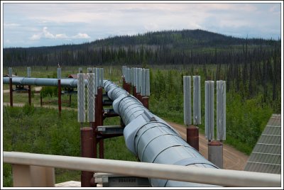 Pipeline at Yukon Bridge...