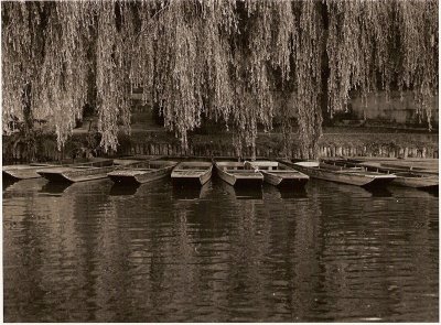 Punts on the Cam, Cambridge, England