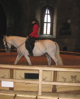 A horse show (dressage demonstration)