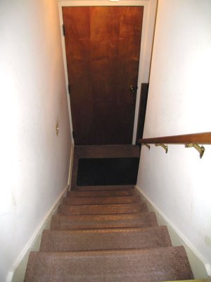 Steps to the basement