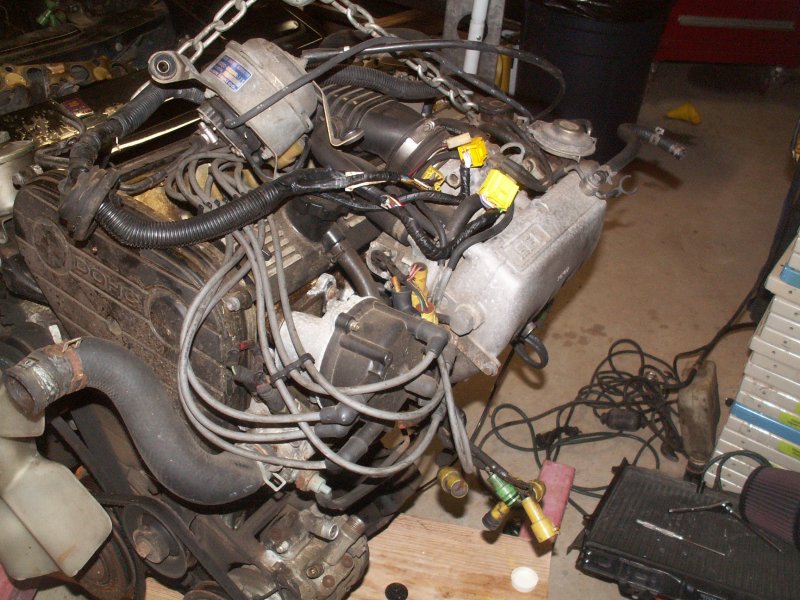 PICT2118.JPG