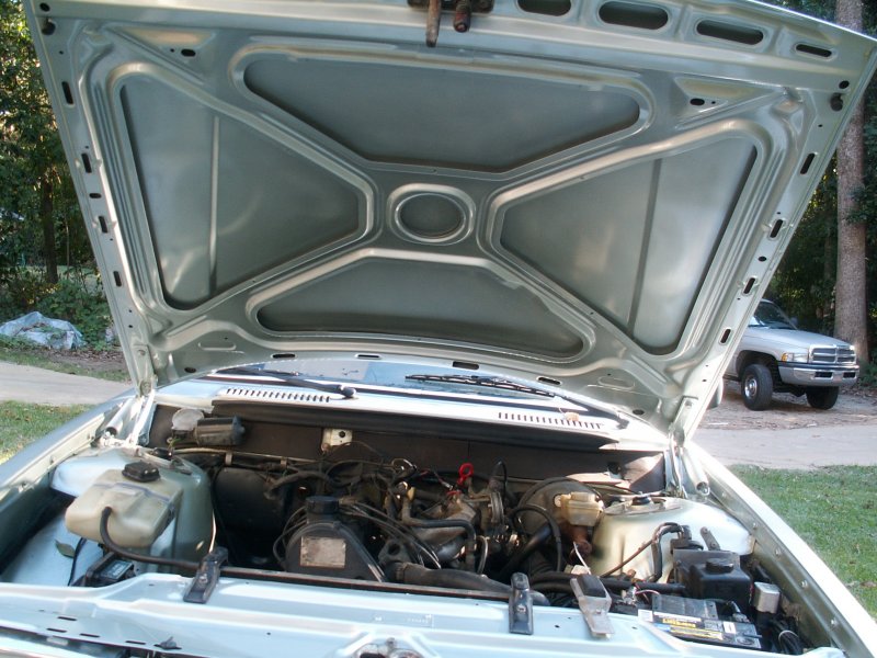 PICT2362.JPG