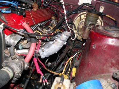 PICT2113.JPG