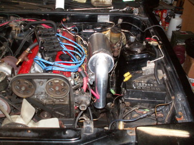 PICT2127.JPG