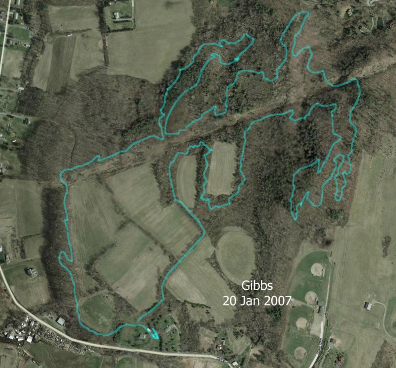 Gibbs Farm.jpg