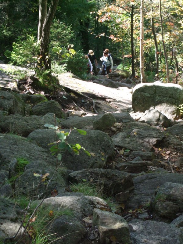 DSCF2703ps 850h.jpg
