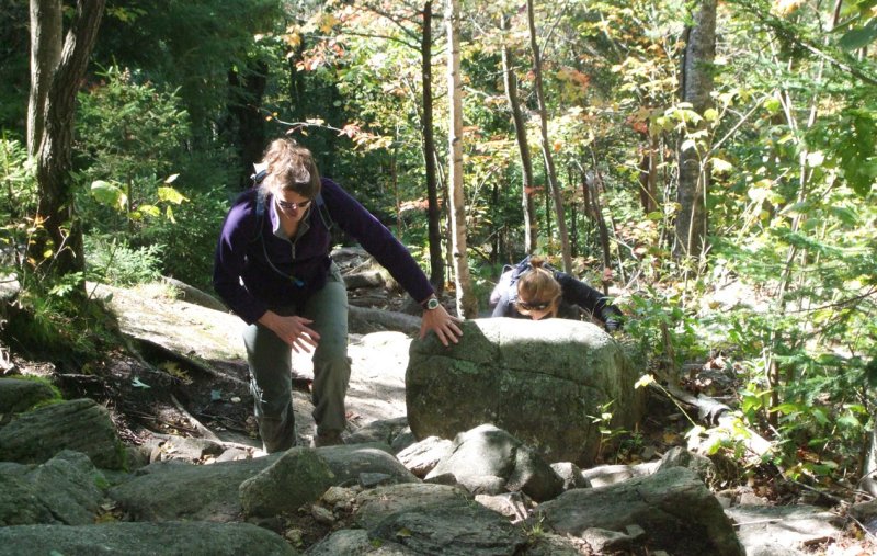DSCF2714ps 800h.jpg