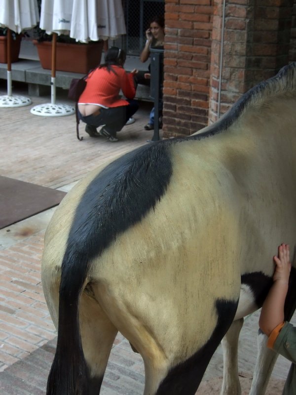 Museu de Zoologa