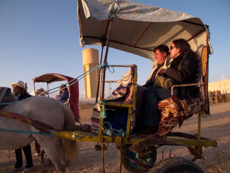 Douz  is a town in central Tunisia, known as the gateway to the Sahara