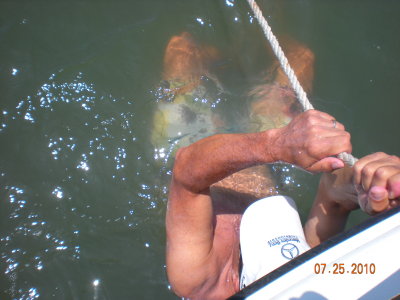 g1/96/533696/3/126870434.UPmg9YUE.jpg