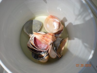 g1/96/533696/3/126870439.SYVHrMnR.jpg
